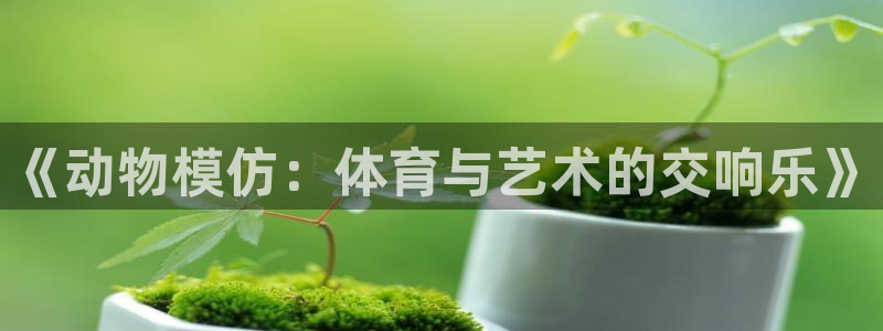 七星体育NBA