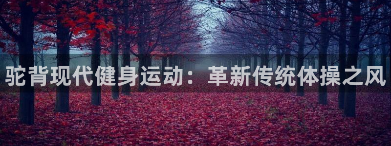 七星体育属于什么档次