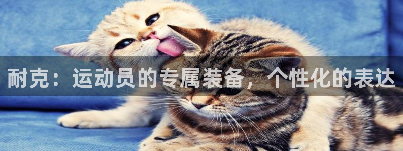 关键词：耐克：运动员的专属装备，个性化的表达