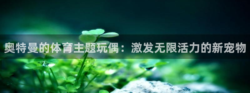七星体育直播nba7live相关：奥特曼的体育主题玩偶：激发无限活力的新宠物